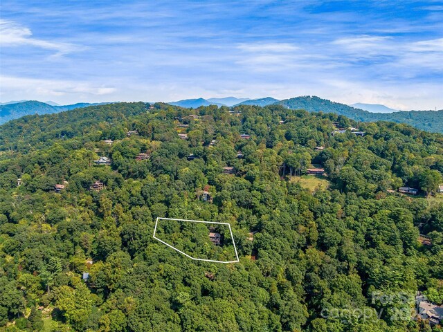 219 Old Toll Rd, Asheville, NC 28804 - birds eye view of property featuring a view of trees and a mountain view