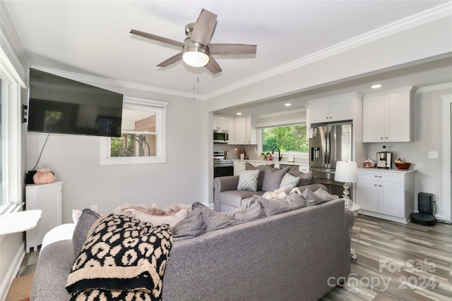 living room featuring ceiling fan, sink, light wood-type flooring, and ornamental molding