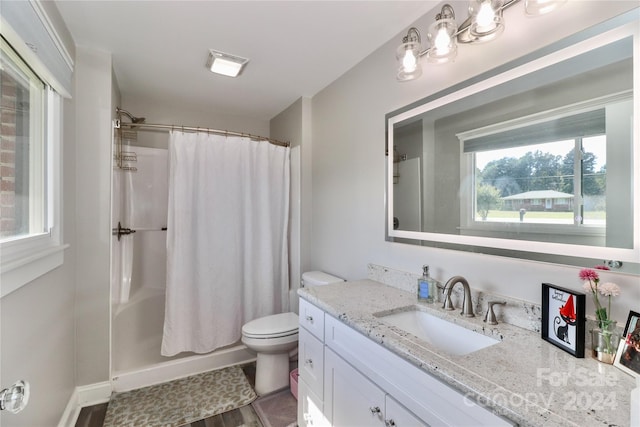 bathroom featuring wood-type flooring, vanity, toilet, and a shower with shower curtain