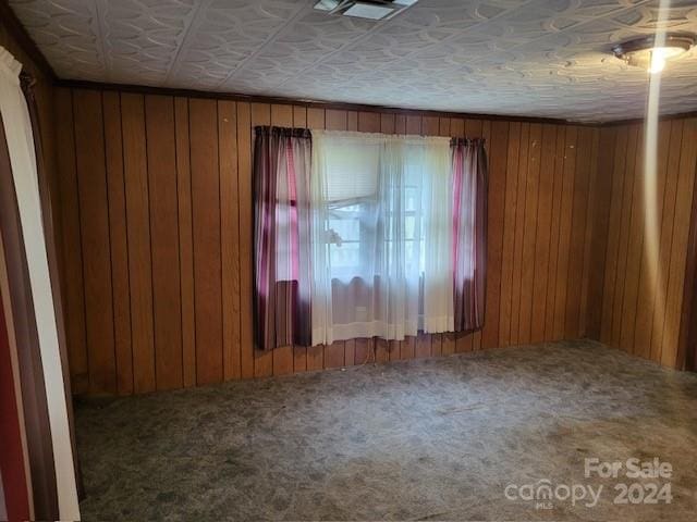 spare room with wood walls and carpet