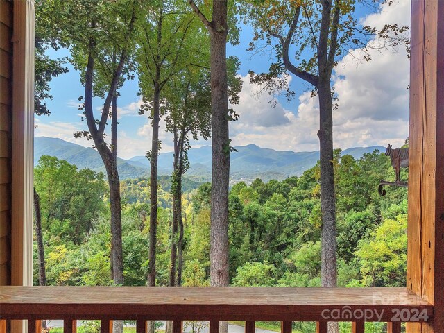 445 Equestrian Dr, Waynesville, NC 28786 - view of mountain background
