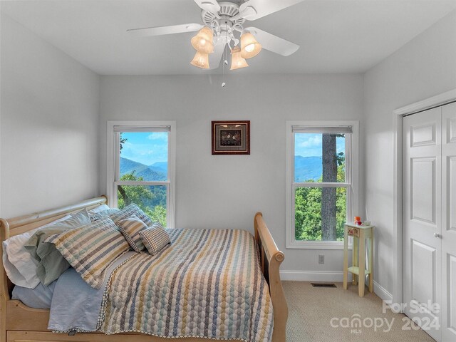 445 Equestrian Dr, Waynesville, NC 28786 - bedroom featuring light colored carpet, baseboards, ceiling fan, and a closet