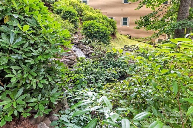 445 Equestrian Dr, Waynesville, NC 28786 - view of yard