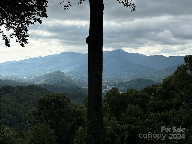 property view of mountains