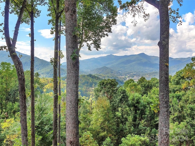 property view of mountains