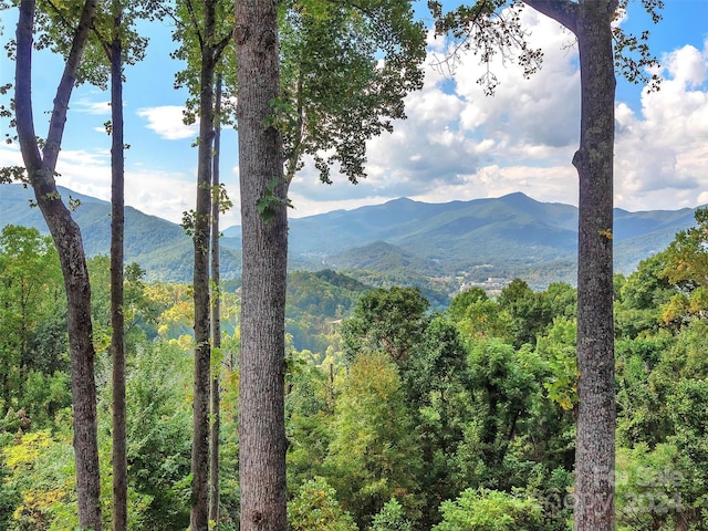 445 Equestrian Dr, Waynesville, NC 28786 - view of mountain background featuring a heavily wooded area