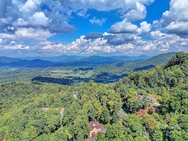 birds eye view of property featuring a mountain view