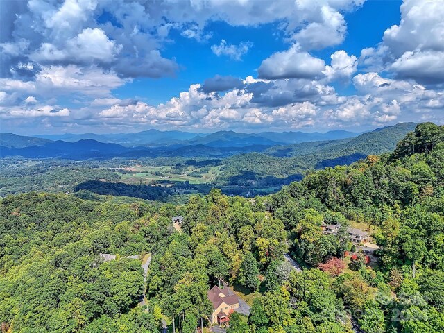 445 Equestrian Dr, Waynesville, NC 28786 - view of mountain backdrop with a forest
