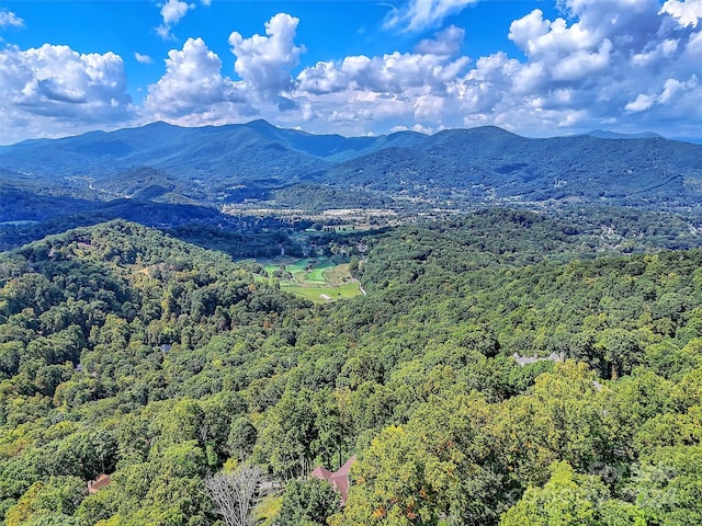 view of mountain feature