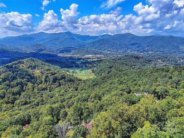 445 Equestrian Dr, Waynesville, NC 28786 - view of mountain backdrop with a forest