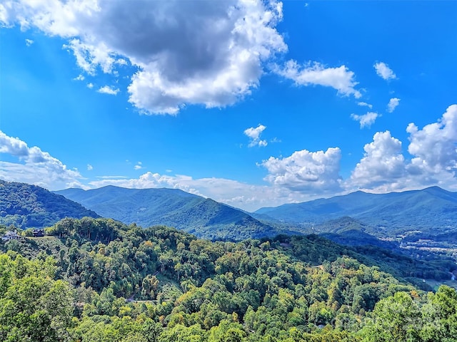 view of mountain feature