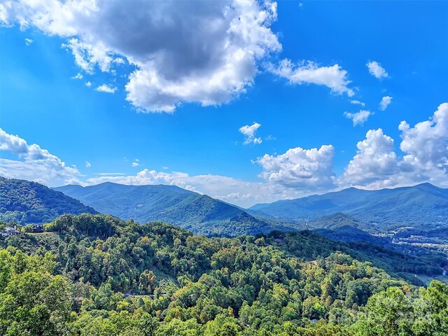 445 Equestrian Dr, Waynesville, NC 28786 - mountain view featuring a heavily wooded area