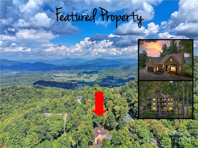 birds eye view of property featuring a mountain view