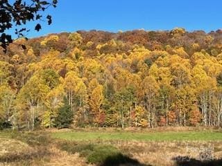 view of mountain feature