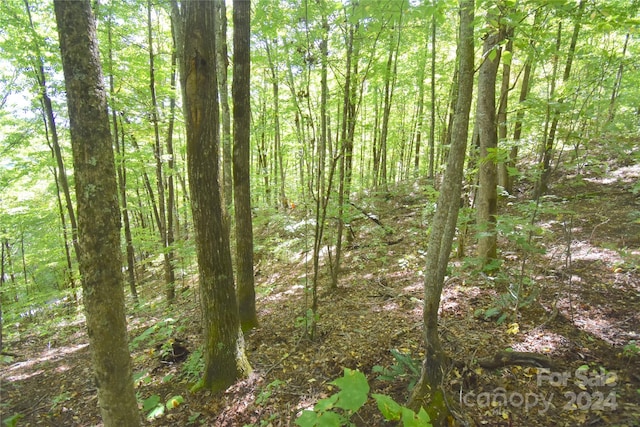 0 Chimney Ridge Trl Unit 131, Waynesville NC, 28786 land for sale