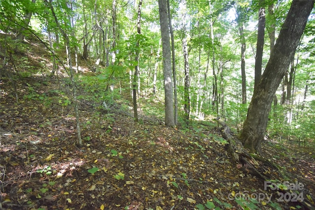 Listing photo 3 for 0 Chimney Ridge Trl Unit 131, Waynesville NC 28786