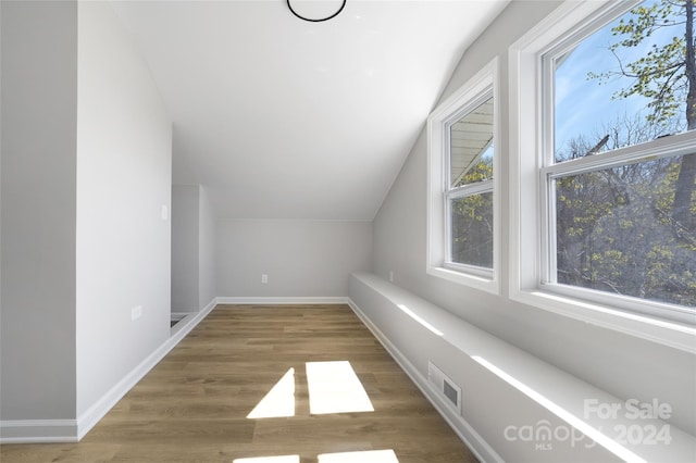 additional living space featuring lofted ceiling and dark hardwood / wood-style flooring