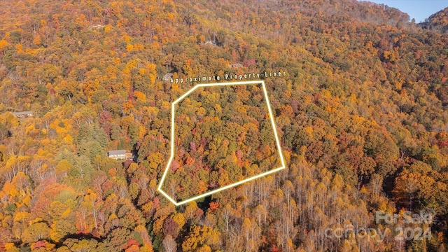 3.08ac Cobblestone Drive 27 & 29, Waynesville, NC 28786 - photo 3