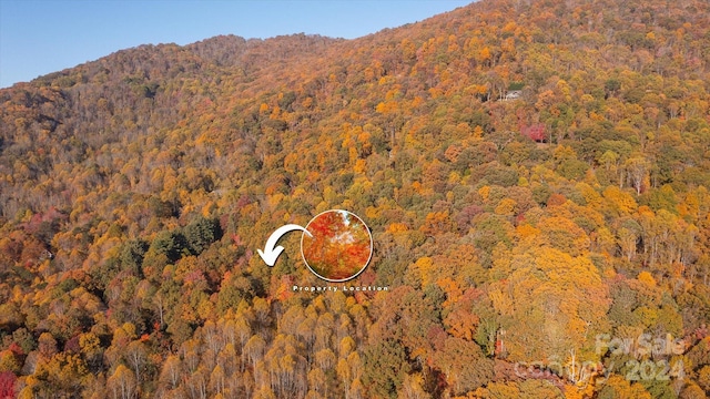 3.08ac Cobblestone Drive 27 & 29, Waynesville, NC 28786 - photo 4