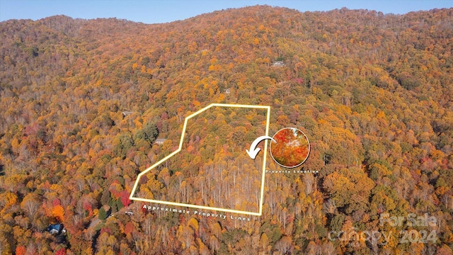 3.08ac Cobblestone Drive 27 & 29, Waynesville, NC 28786 - photo 5