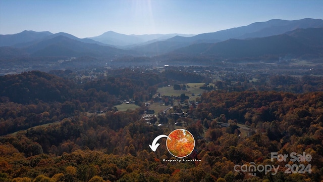 3.08ac Cobblestone Drive 27 & 29, Waynesville, NC 28786 - photo 6