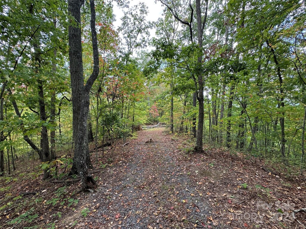 0 Laurel Branch Rd, Bryson City, NC 28713 - photo 1