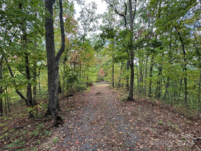 0 Laurel Branch Rd, Bryson City, NC 28713 - photo 1