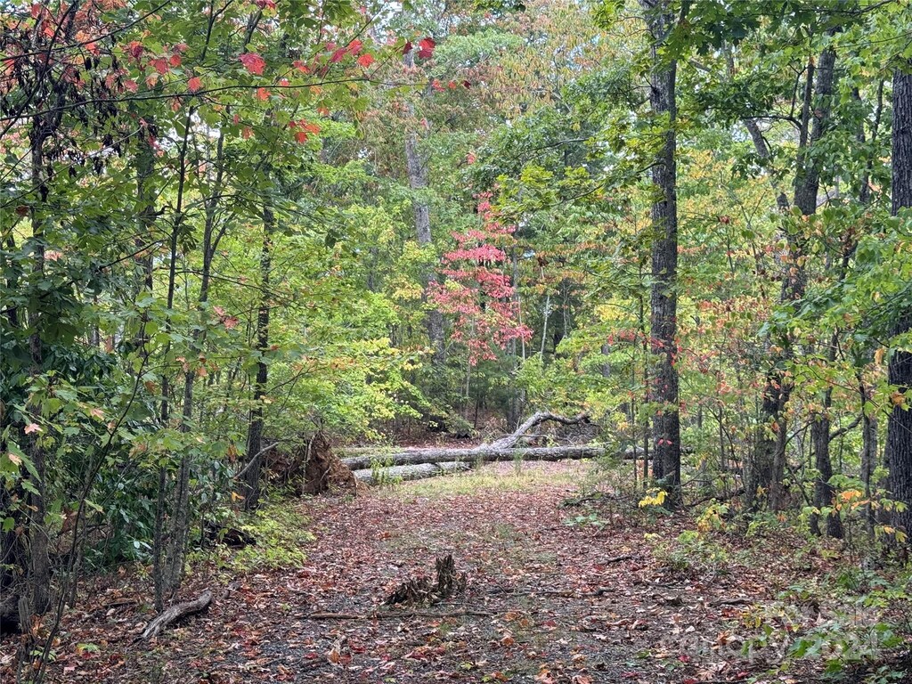 0 Laurel Branch Rd, Bryson City, NC 28713 - photo 2