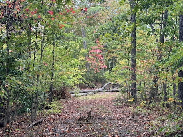 0 Laurel Branch Rd, Bryson City, NC 28713 - photo 2