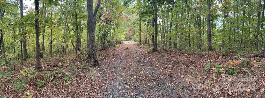 0 Laurel Branch Rd, Bryson City, NC 28713 - photo 3