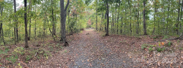 0 Laurel Branch Rd, Bryson City, NC 28713 - photo 3