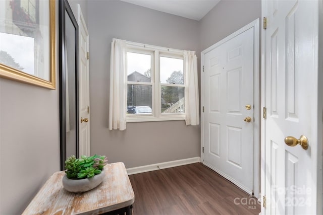 foyer featuring dark hardwood / wood-style floors