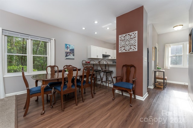 dining space featuring dark hardwood / wood-style flooring and a healthy amount of sunlight