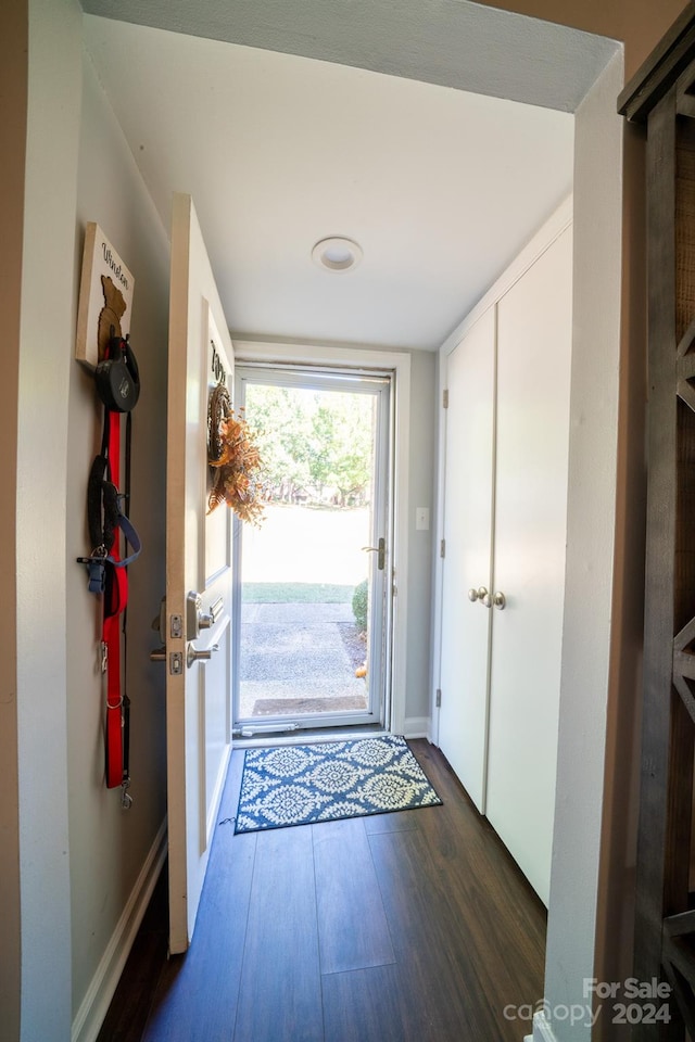 entryway with dark wood-type flooring