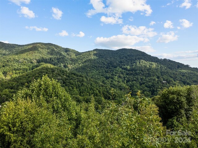 LOT12 Bow N Arrow Cv, Waynesville, NC 28785