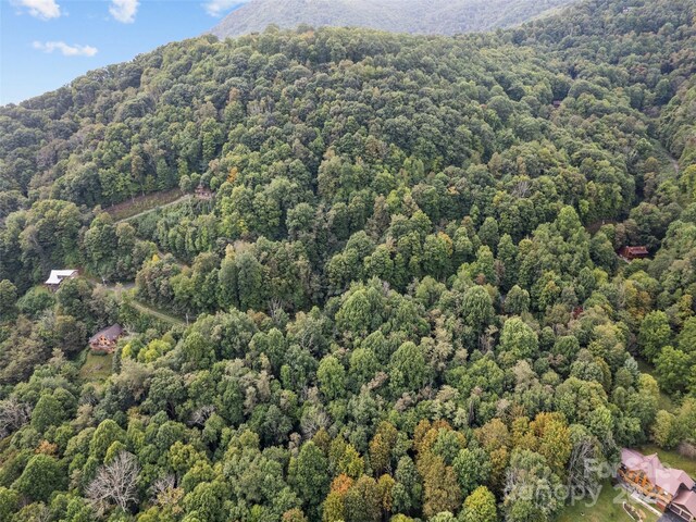 LOT12 Bow N Arrow Cv, Waynesville, NC 28785