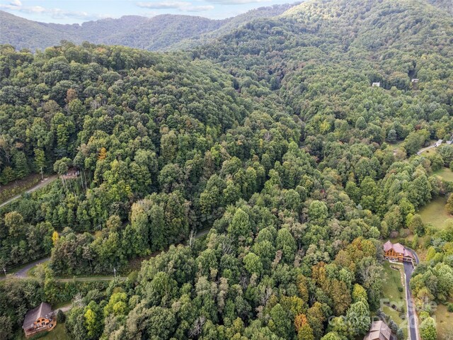 LOT12 Bow N Arrow Cv, Waynesville, NC 28785