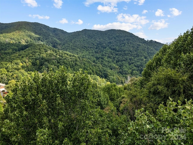 LOT12 Bow N Arrow Cv, Waynesville, NC 28785