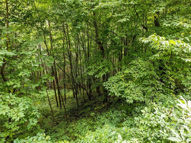 LOT12 Bow N Arrow Cv, Waynesville, NC 28785