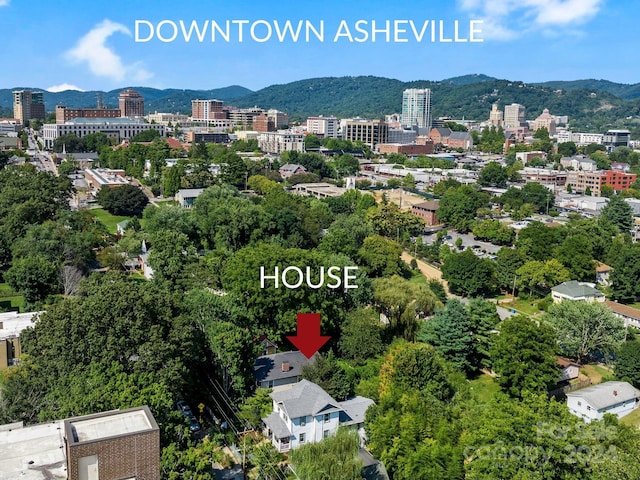 138 S French Broad Ave, Asheville, NC 28801 - photo 2