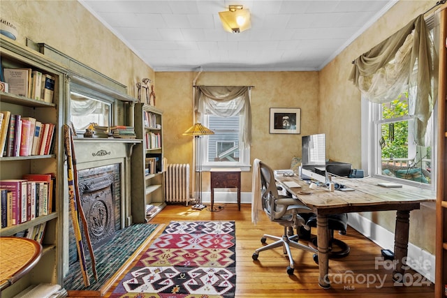 office featuring radiator heating unit, light hardwood / wood-style flooring, and ornamental molding