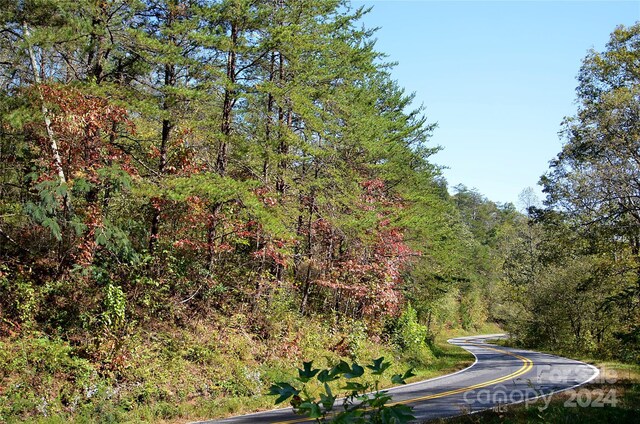 00 Painters Gap Rd, Union Mills, NC 28167