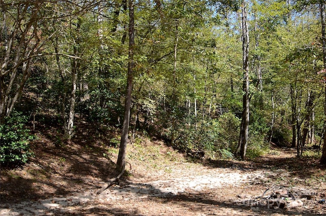 00 Painters Gap Rd, Union Mills, NC 28167