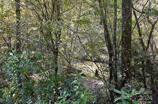 00 Painters Gap Rd, Union Mills, NC 28167