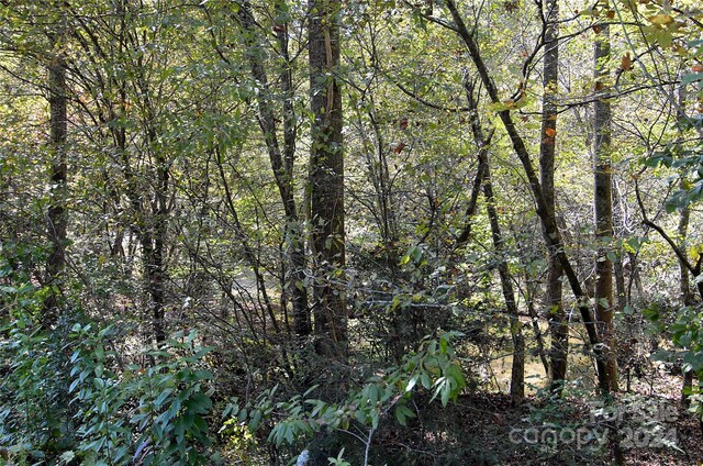 00 Painters Gap Rd, Union Mills, NC 28167
