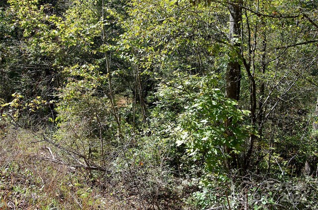 00 Painters Gap Rd, Union Mills, NC 28167