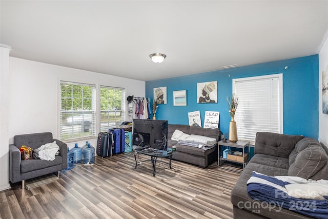 living room featuring hardwood / wood-style flooring