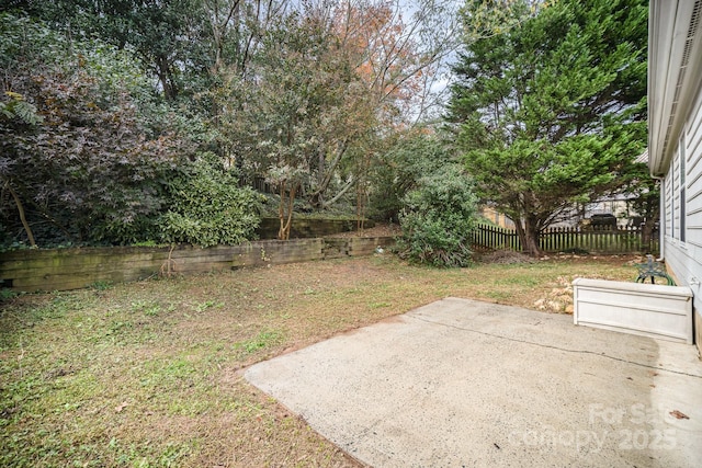 view of yard with a patio area