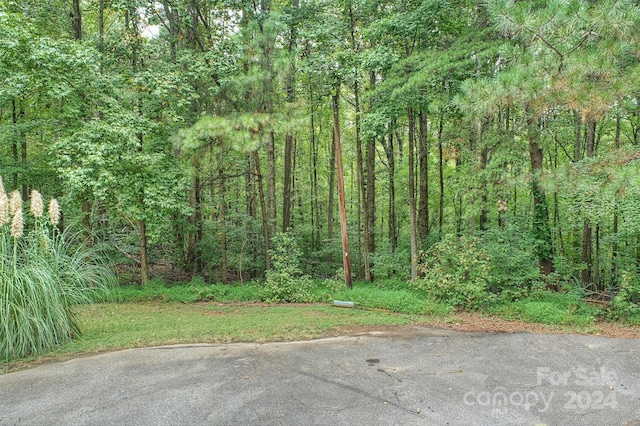 105 Ridgebrook Dr, Mooresville, NC 28117 - photo 4