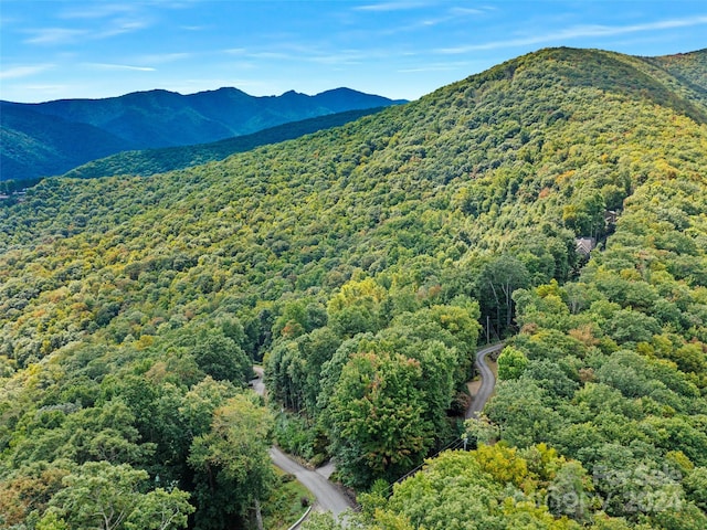 view of mountain feature